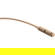 Point Source Audio SERIES8 CR-8L Cardioi...: Picture 1 thumbnail