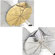 Photek 36" Softlighter Hot Shoe Diffuser...: Picture 5 thumbnail
