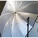 Photek Goodlighter Umbrella: Picture 1 thumbnail