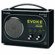 Pure Digital Technologies Evoke Flow Portable Internet and FM Radio, Piano Black: Picture 2 thumbnail