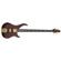 Peavey Rudy Sarzo Signature Cirr: Picture 1 thumbnail