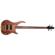 Peavey Cirrus Guitar: Picture 2 thumbnail