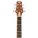 Peavey DW-1: Picture 13 thumbnail