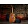 Peavey DW-1: Picture 18 thumbnail