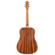 Peavey DW-1: Picture 3 thumbnail