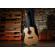 Peavey DW-1: Picture 21 thumbnail