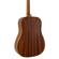 Peavey DW-1: Picture 7 thumbnail