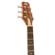 Peavey DW-1: Picture 10 thumbnail