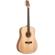 Peavey DW-2: Picture 2 thumbnail