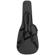 Peavey DW-2: Picture 11 thumbnail