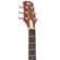 Peavey DW-2: Picture 13 thumbnail