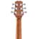 Peavey DW-2: Picture 14 thumbnail