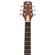Peavey DW-2: Picture 16 thumbnail