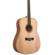 Peavey DW-2: Picture 5 thumbnail