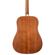 Peavey DW-2: Picture 6 thumbnail