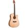 Peavey DW-2 CE: Picture 2 thumbnail