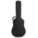 Peavey DW-2 CE: Picture 4 thumbnail