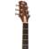 Peavey DW-2 CE: Picture 5 thumbnail