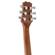 Peavey DW-2 CE: Picture 6 thumbnail