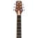Peavey DW-2 CE: Picture 8 thumbnail