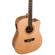 Peavey DW-2 CE: Picture 9 thumbnail