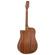 Peavey DW-2 CE: Picture 11 thumbnail