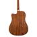 Peavey DW-2 CE: Picture 13 thumbnail