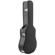 Peavey DW-2 CE: Picture 17 thumbnail