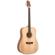Peavey DW-2: Picture 2 thumbnail