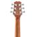 Peavey DW-2: Picture 11 thumbnail