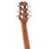Peavey DW-2: Picture 12 thumbnail