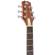 Peavey DW-2: Picture 10 thumbnail