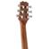 Peavey DW-2 CE: Picture 3 thumbnail
