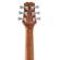 Peavey DW-2 CE: Picture 4 thumbnail