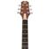 Peavey DW-2 CE: Picture 5 thumbnail