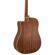 Peavey DW-2 CE: Picture 13 thumbnail