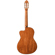 Peavey Delta Woods CNS-CE: Picture 8 thumbnail