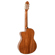Peavey Delta Woods CNS-CE: Picture 9 thumbnail