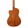 Peavey Delta Woods CNS-CE: Picture 11 thumbnail