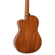 Peavey Delta Woods CNS-CE: Picture 12 thumbnail