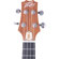 Peavey Delta Woods Ukulele: Picture 3 thumbnail