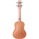 Peavey Delta Woods Ukulele: Picture 6 thumbnail