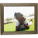 Photographers' Formulary Contact Print Frame: Picture 1 thumbnail