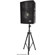 Pyle PADH1279 600 W 12" Two-Way Speaker Cabinet: Picture 4 thumbnail