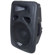 Pyle PPHP1298A 12" 800 W Powered Two-Way Plastic Molded Speaker System: Picture 2 thumbnail