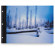 Pina Zangaro 11x17" Landscape Flex-Hinge Polyester Sheet Protectors - 10 Sheets: Picture 1 thumbnail