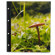 Pina Zangaro 11x14in Portrait Flex-Hinge...: Picture 1 thumbnail