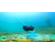 Qysea FIFISH PRO V6 PLUS: Picture 23 thumbnail