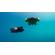 Qysea FIFISH PRO V6 PLUS: Picture 27 thumbnail