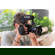 Rode VideoMic Pro: Picture 8 thumbnail